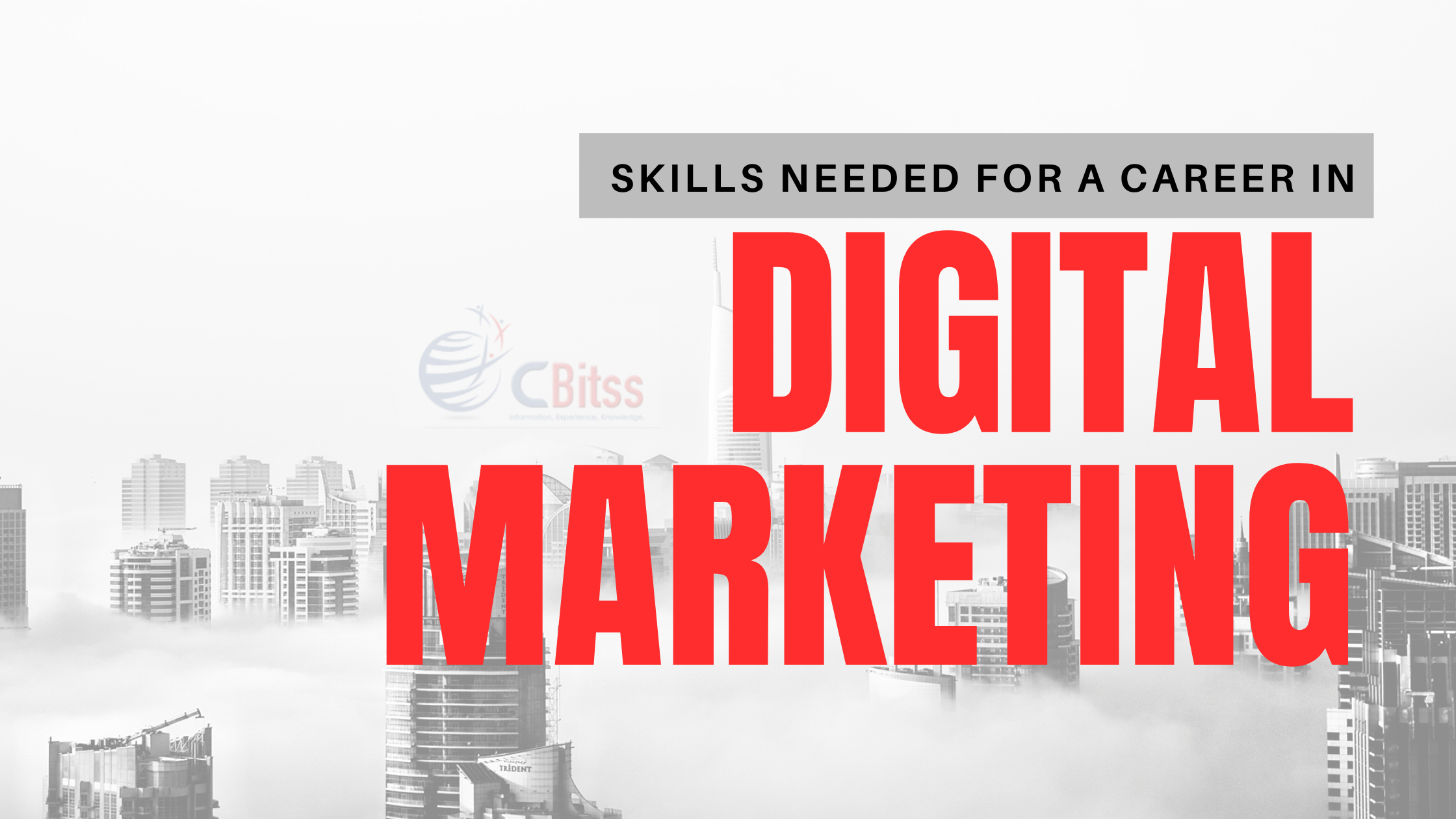 Skills-needed-to-make-a-career-in-digital-marketing.png