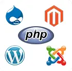 PHP Industrial Training in Chandigarh