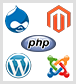 web development company in India