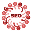 Seo Training in Chandigarh